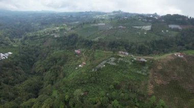 Bali, Endonezya - 11 Kasım 2022: Bali 'nin Turistik Çekim ve Yerleşkeleri