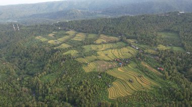 Bali, Endonezya - 11 Kasım 2022: Bali 'nin Turistik Çekim ve Yerleşkeleri