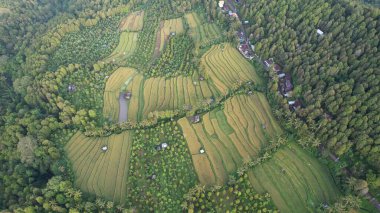 Bali, Endonezya - 11 Kasım 2022: Bali 'nin Turistik Çekim ve Yerleşkeleri