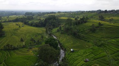 Bali, Endonezya - 11 Kasım 2022: Bali 'nin Turistik Çekim ve Yerleşkeleri