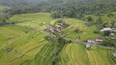 Bali, Endonezya - 11 Kasım 2022: Bali 'nin Turistik Çekim ve Yerleşkeleri