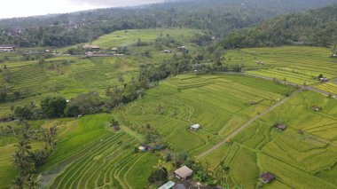 Bali, Endonezya - 11 Kasım 2022: Bali 'nin Turistik Çekim ve Yerleşkeleri