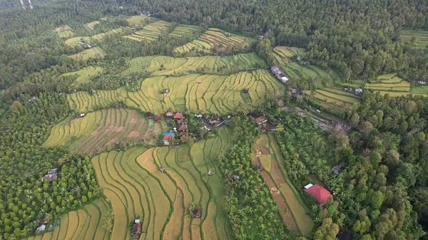 Stock image Bali, Indonesia - November 11, 2022: The Tourist Attractions and Landmarks of Bali