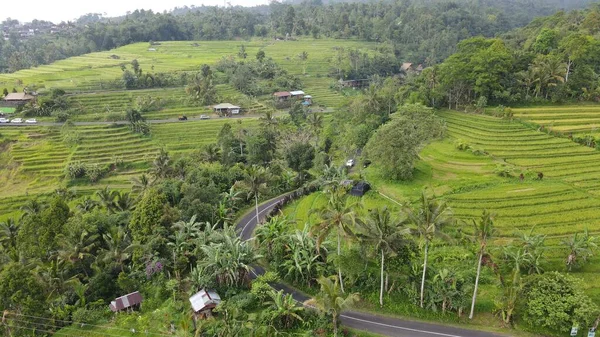 Bali Indonesien November 2022 Die Touristenattraktionen Und Sehenswürdigkeiten Balis — Stockfoto