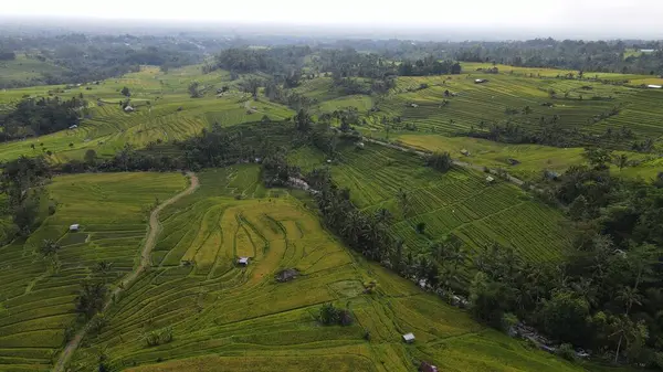 Bali, Endonezya - 11 Kasım 2022: Bali 'nin Turistik Çekim ve Yerleşkeleri