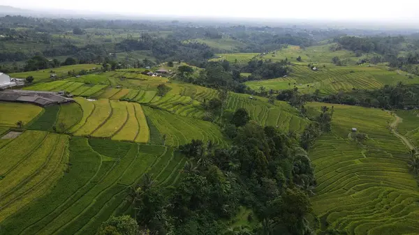 Bali, Endonezya - 11 Kasım 2022: Bali 'nin Turistik Çekim ve Yerleşkeleri