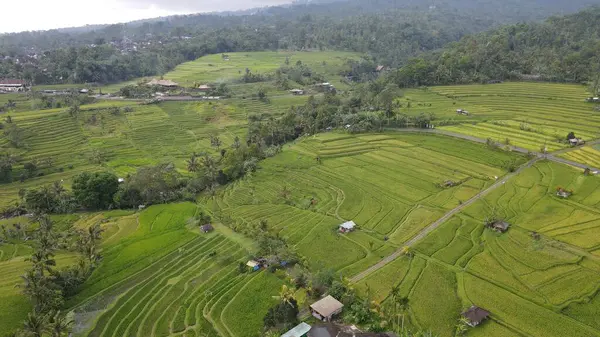 stock image Bali, Indonesia - November 11, 2022: The Tourist Attractions and Landmarks of Bali