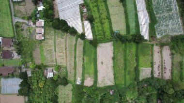 Bali, Endonezya - 11 Kasım 2022: Bali 'nin Turistik Çekim ve Yerleşkeleri