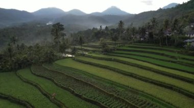 Bali, Endonezya - 11 Kasım 2022: Bali 'nin Turistik Çekim ve Yerleşkeleri