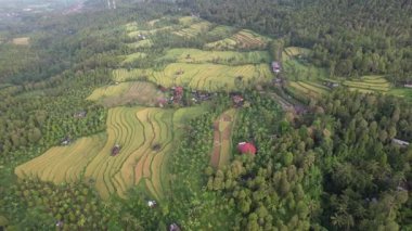 Bali, Endonezya - 11 Kasım 2022: Bali 'nin Turistik Çekim ve Yerleşkeleri