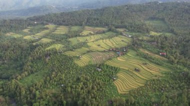 Bali, Endonezya - 11 Kasım 2022: Bali 'nin Turistik Çekim ve Yerleşkeleri