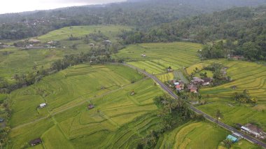 Bali, Endonezya - 11 Kasım 2022: Bali 'nin Turistik Çekim ve Yerleşkeleri