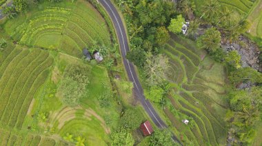 Bali, Endonezya - 11 Kasım 2022: Bali 'nin Turistik Çekim ve Yerleşkeleri