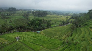 Bali, Endonezya - 11 Kasım 2022: Bali 'nin Turistik Çekim ve Yerleşkeleri