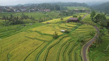 Bali, Endonezya - 11 Kasım 2022: Bali 'nin Turistik Çekim ve Yerleşkeleri