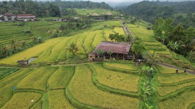 Bali, Endonezya - 11 Kasım 2022: Bali 'nin Turistik Çekim ve Yerleşkeleri