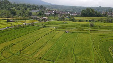 Bali, Endonezya - 11 Kasım 2022: Bali 'nin Turistik Çekim ve Yerleşkeleri