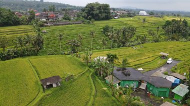 Bali, Endonezya - 11 Kasım 2022: Bali 'nin Turistik Çekim ve Yerleşkeleri