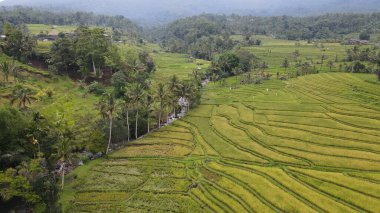 Bali, Endonezya - 11 Kasım 2022: Bali 'nin Turistik Çekim ve Yerleşkeleri
