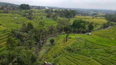 Bali, Endonezya - 11 Kasım 2022: Bali 'nin Turistik Çekim ve Yerleşkeleri