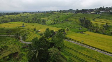 Bali, Endonezya - 11 Kasım 2022: Bali 'nin Turistik Çekim ve Yerleşkeleri