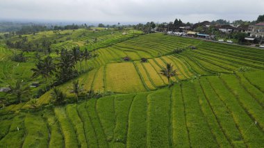 Bali, Endonezya - 11 Kasım 2022: Bali 'nin Turistik Çekim ve Yerleşkeleri