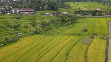 Bali, Endonezya - 11 Kasım 2022: Bali 'nin Turistik Çekim ve Yerleşkeleri