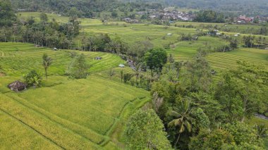 Bali, Endonezya - 11 Kasım 2022: Bali 'nin Turistik Çekim ve Yerleşkeleri