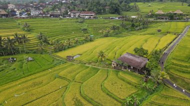 Bali, Endonezya - 11 Kasım 2022: Bali 'nin Turistik Çekim ve Yerleşkeleri