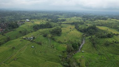 Bali, Endonezya - 11 Kasım 2022: Bali 'nin Turistik Çekim ve Yerleşkeleri