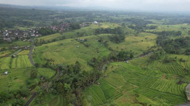 Bali, Endonezya - 11 Kasım 2022: Bali 'nin Turistik Çekim ve Yerleşkeleri