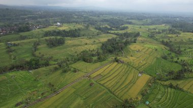 Bali, Endonezya - 11 Kasım 2022: Bali 'nin Turistik Çekim ve Yerleşkeleri