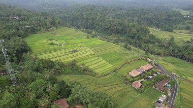 Bali, Endonezya - 11 Kasım 2022: Bali 'nin Turistik Çekim ve Yerleşkeleri