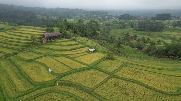 Bali, Endonezya - 11 Kasım 2022: Bali 'nin Turistik Çekim ve Yerleşkeleri