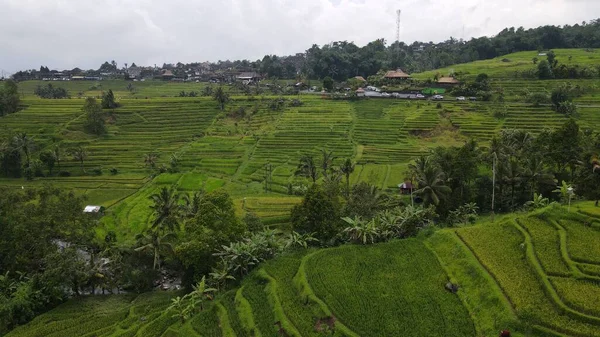 Bali, Endonezya - 11 Kasım 2022: Bali 'nin Turistik Çekim ve Yerleşkeleri