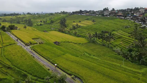 stock image Bali, Indonesia - November 11, 2022: The Tourist Attractions and Landmarks of Bali