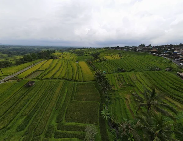 Bali Indonesia Marraskuuta 2022 Balin Nähtävyydet Maamerkit — kuvapankkivalokuva