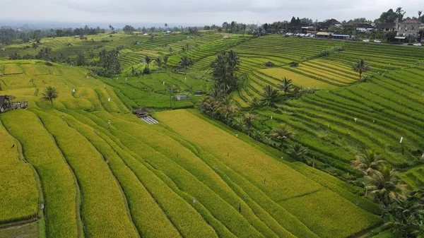 stock image Bali, Indonesia - November 11, 2022: The Tourist Attractions and Landmarks of Bali