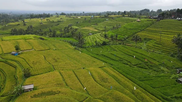 stock image Bali, Indonesia - November 11, 2022: The Tourist Attractions and Landmarks of Bali