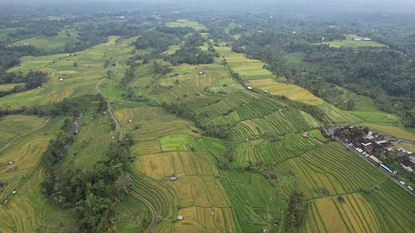 stock image Bali, Indonesia - November 11, 2022: The Tourist Attractions and Landmarks of Bali