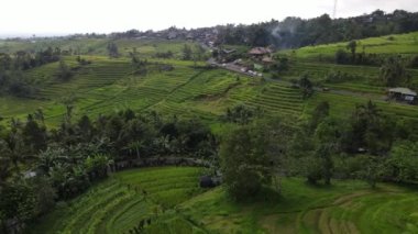 Bali, Endonezya - 11 Kasım 2022: Bali 'nin Turistik Çekim ve Yerleşkeleri