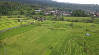 Bali, Endonezya - 11 Kasım 2022: Bali 'nin Turistik Çekim ve Yerleşkeleri