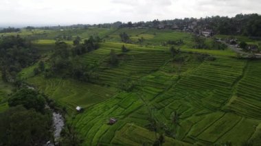 Bali, Endonezya - 11 Kasım 2022: Bali 'nin Turistik Çekim ve Yerleşkeleri