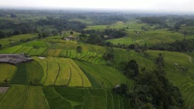 Bali, Endonezya - 11 Kasım 2022: Bali 'nin Turistik Çekim ve Yerleşkeleri
