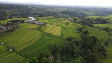 Bali, Endonezya - 11 Kasım 2022: Bali 'nin Turistik Çekim ve Yerleşkeleri