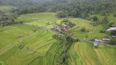Bali, Endonezya - 11 Kasım 2022: Bali 'nin Turistik Çekim ve Yerleşkeleri