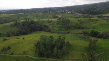 Bali, Endonezya - 11 Kasım 2022: Bali 'nin Turistik Çekim ve Yerleşkeleri