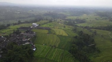 Bali, Endonezya - 11 Kasım 2022: Bali 'nin Turistik Çekim ve Yerleşkeleri
