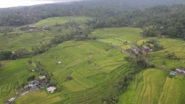 Bali, Endonezya - 11 Kasım 2022: Bali 'nin Turistik Çekim ve Yerleşkeleri