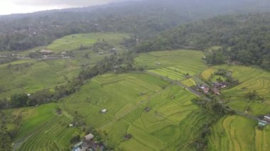 Bali, Endonezya - 11 Kasım 2022: Bali 'nin Turistik Çekim ve Yerleşkeleri